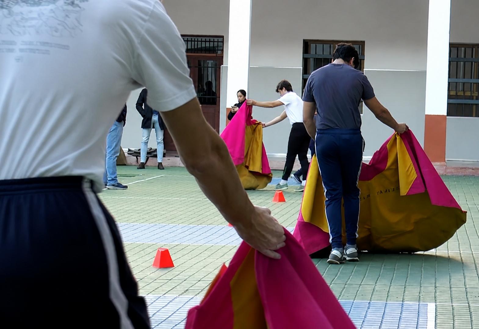 7 Toros 7 E01